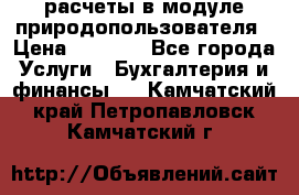 расчеты в модуле природопользователя › Цена ­ 3 000 - Все города Услуги » Бухгалтерия и финансы   . Камчатский край,Петропавловск-Камчатский г.